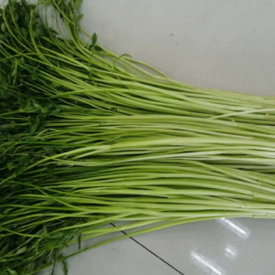 Rau cần ta (cần nước) thơm ngon tự nhiên